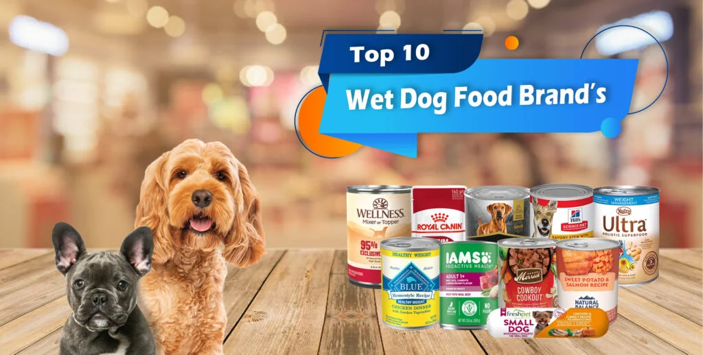 Koja je najbolja hrana za pse ?